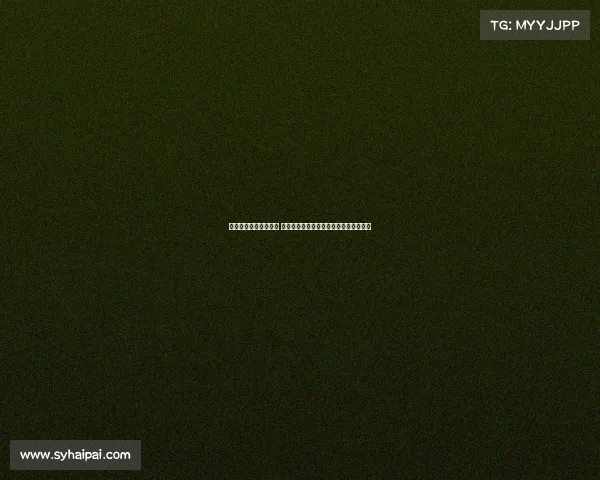 林书豪不仅仅是林疯狂 他用坚持和努力书写属于自己的篮球传奇