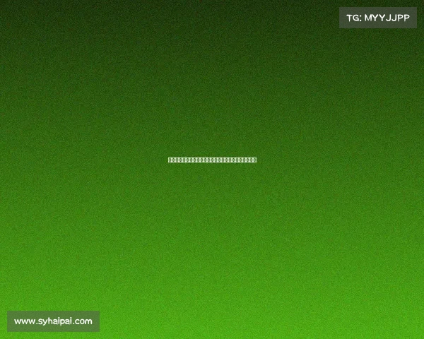 英超解说：深入分析顶级赛事背后的战术较量与球员表现